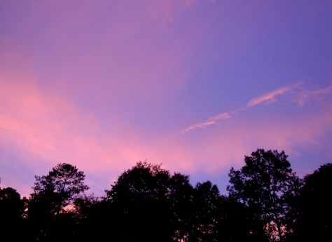 Atlanta2012DSCN2366b