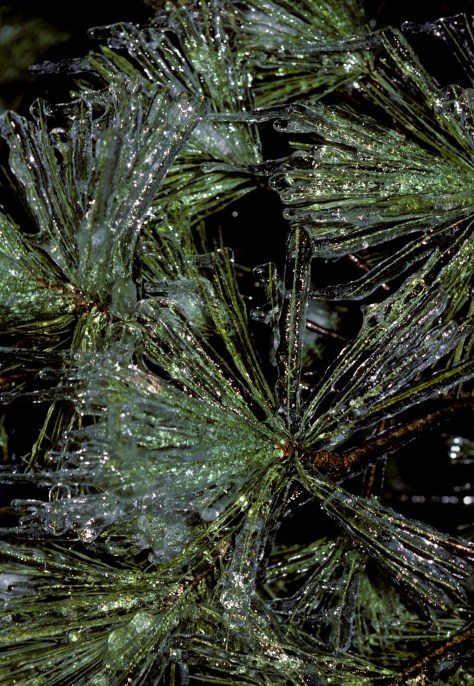 NE slide showImage90a