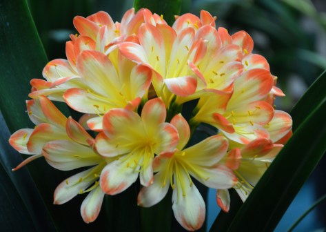 2015 Huntington 3-2015DSC_8923a