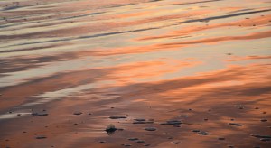 2014_CauyucosDSC_6998b