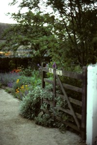 1977 England France etc Image133a